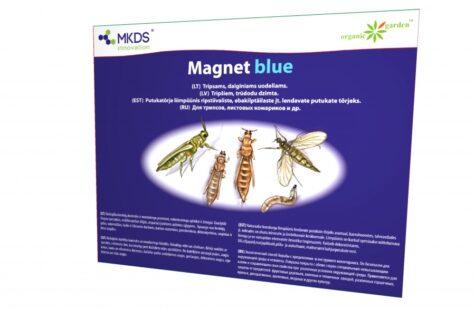 Līmes slazds Magnet Blue