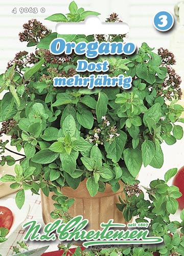 Oregano Dost /raudene/