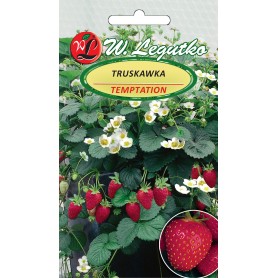 Zemenes iekaramajiem puķu podiem Temptation 0,03g