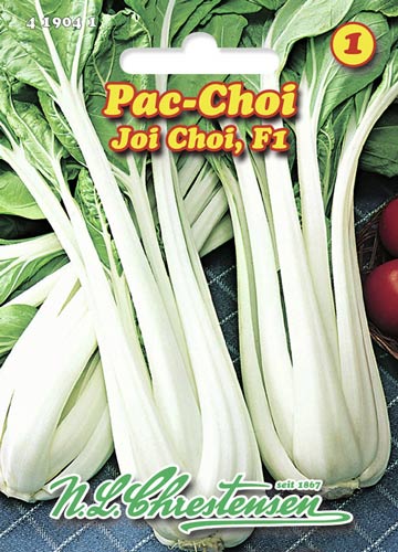 Ķīnas kāpostu veids Pac Choi