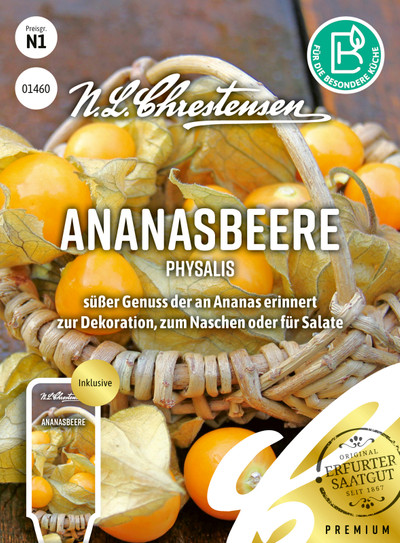 Fizālis Ananasbeere S