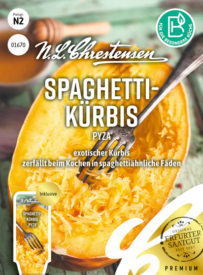 Ķirbis Pyza (spageti ķirbis) S