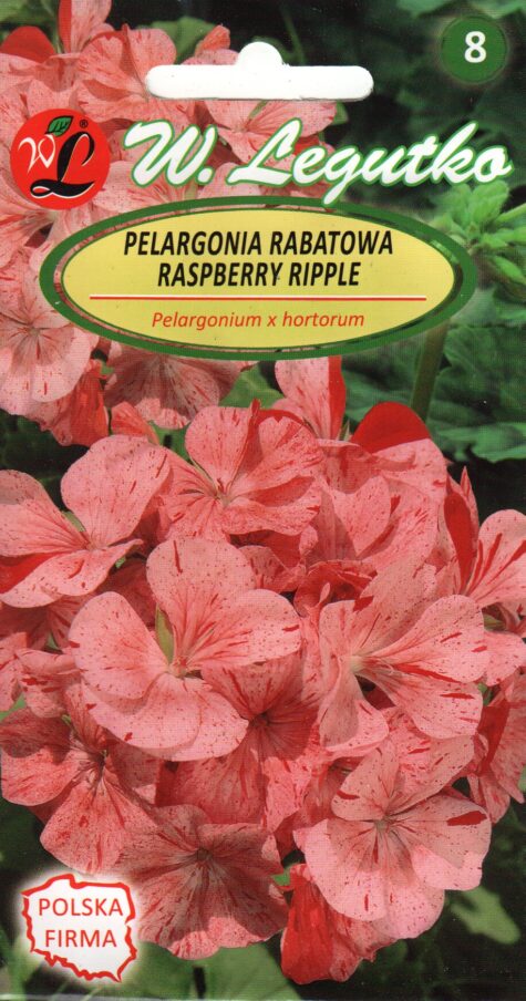 Zonālā pelargonija Divas F1 Raspberry Ripple 0,04 g