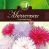 Astere Meister Prachtmisc. ERF