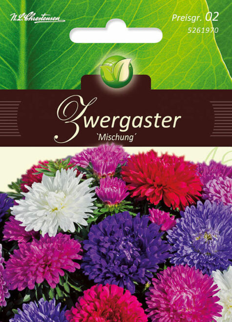 Aster Zwerg Mischung ERF