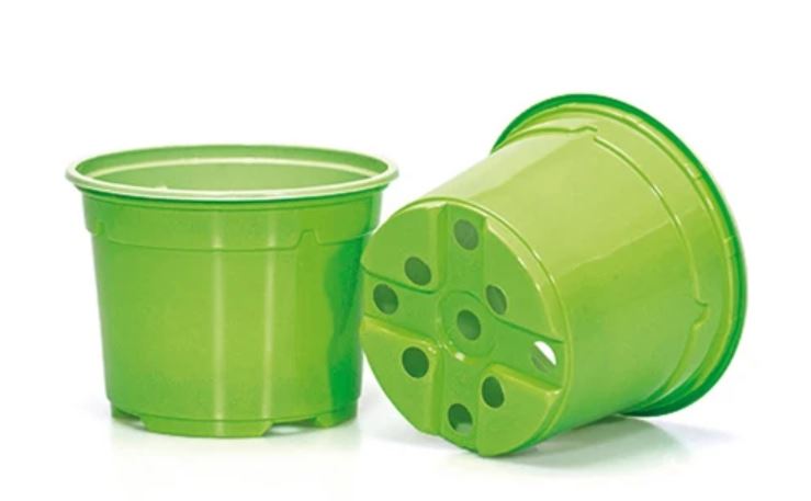 Stādu pods 10,5 cm gaiši zaļš