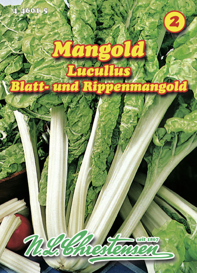 Mangold lapu bietes Luccullus