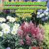 Ziemciešu Halbhohe Arten und Sorten maisījums