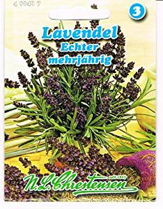 Lavanda Echter