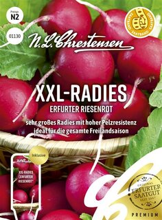 Redīsi XXL Erfurter Riesenrot 3m lentē S