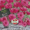 Rudzupuķe Rote Lola S