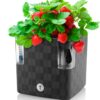Dekoratīvais puķu pods ar apūdeņošanas sistēmu Cobble 14 x 14 cm, antracīta krāsā