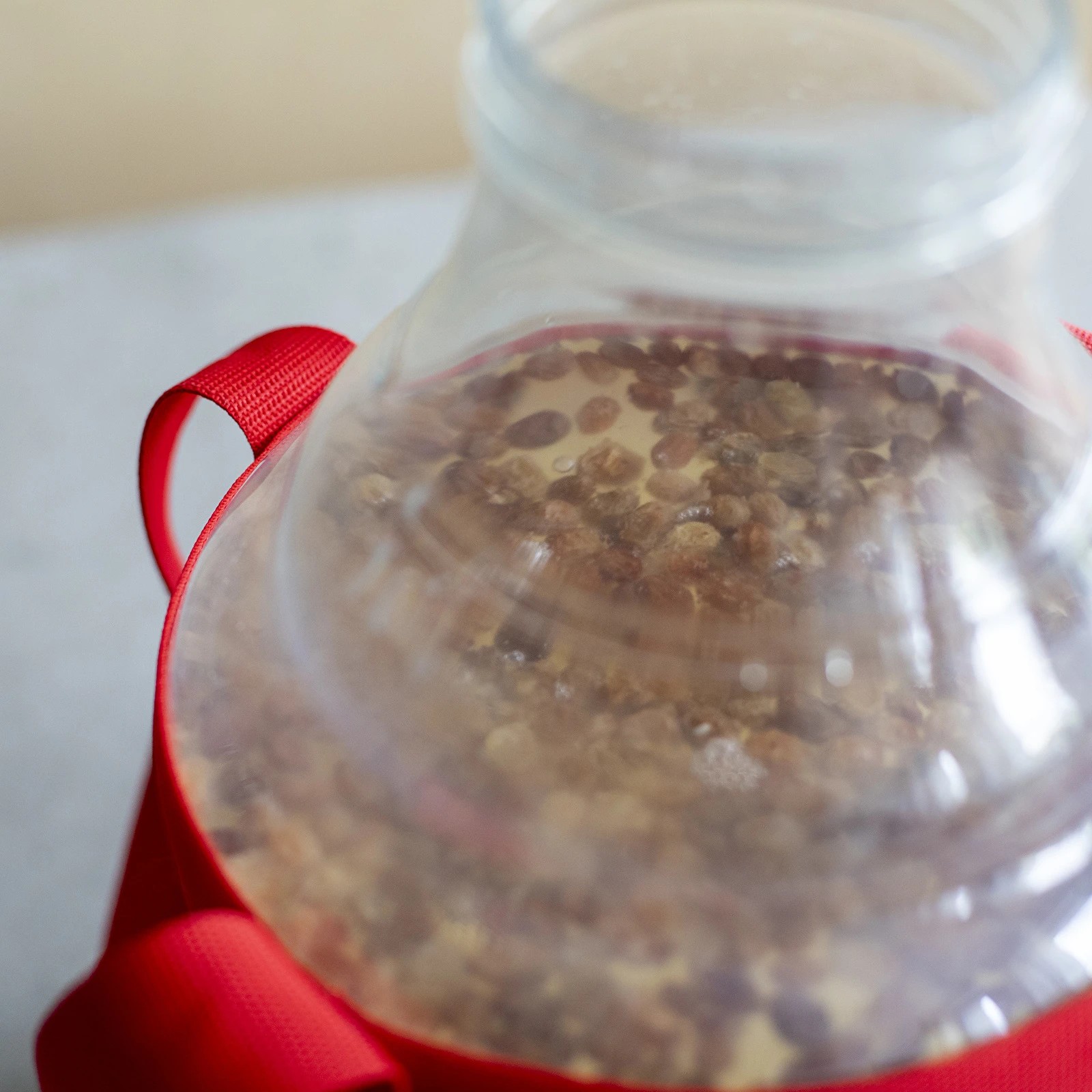 Fermentācijas pudele 10 l