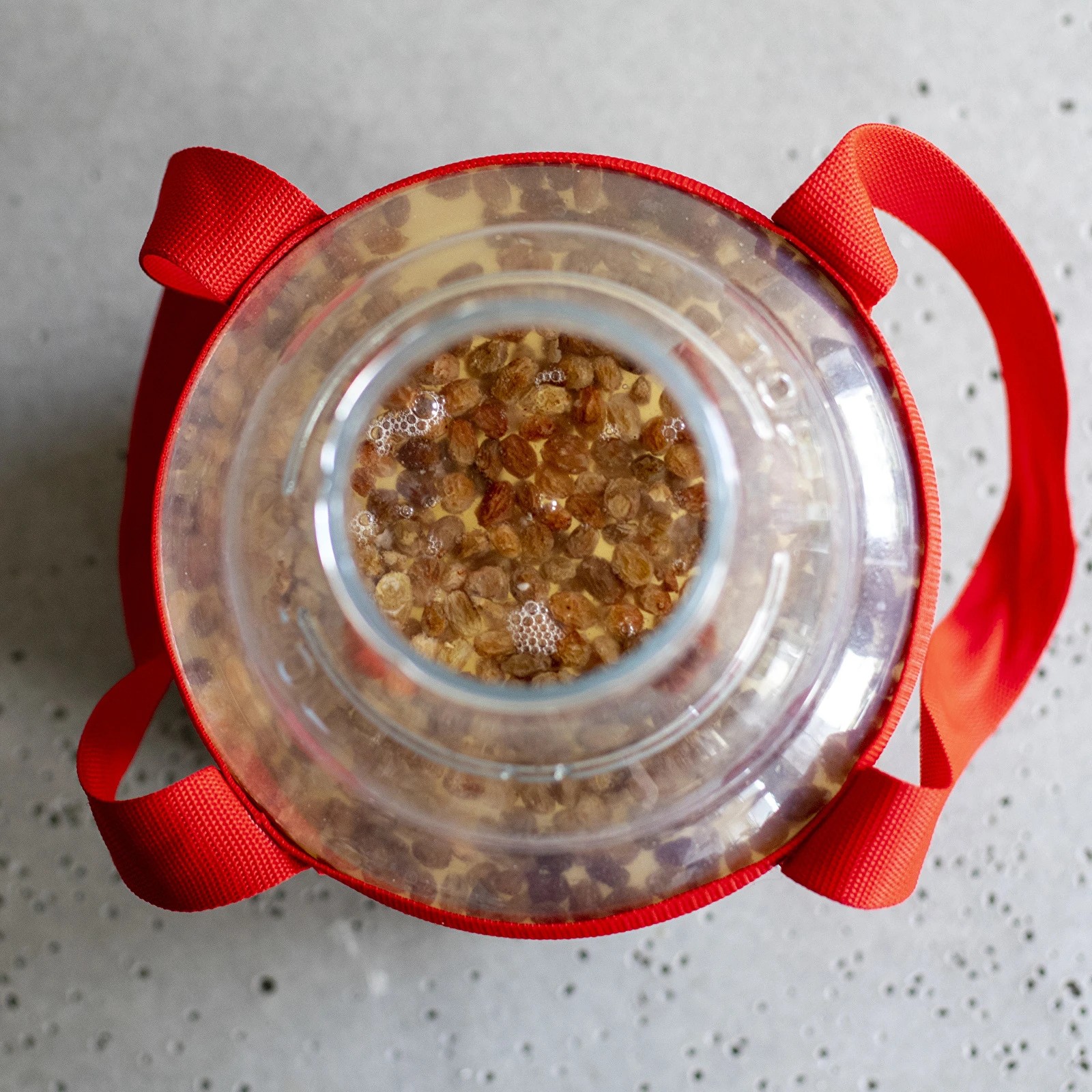 Fermentācijas pudele 10 l