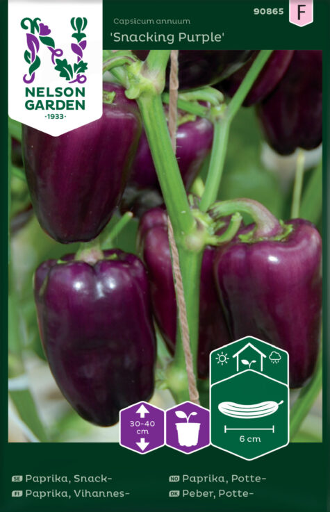 Paprika Snacking Purple