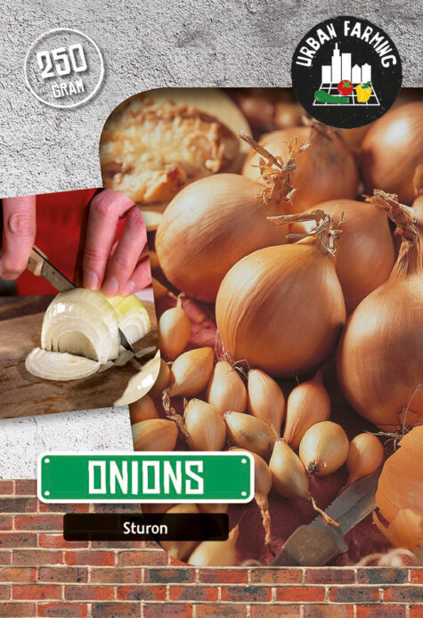 Sīpols Sturon 250g