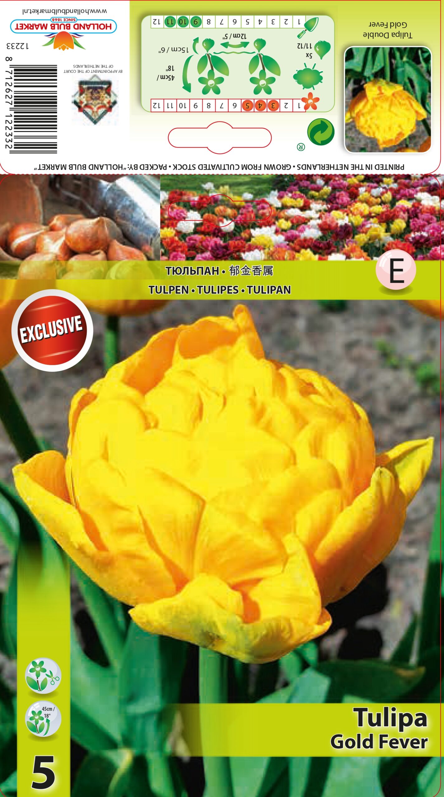 Tulpe Gold Fever 5 gab.