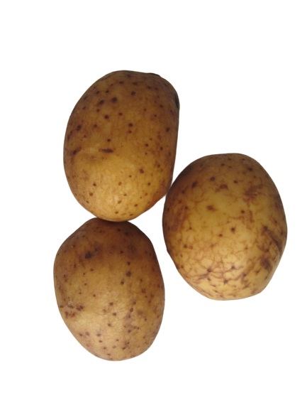 Sēklas kartupeļi TEELE 10kg