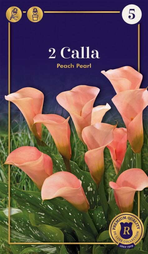 Kalla Peach Pearl 2 gab