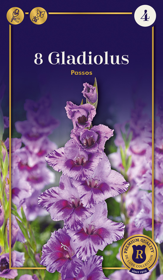 Gladiola Passos 8 gab