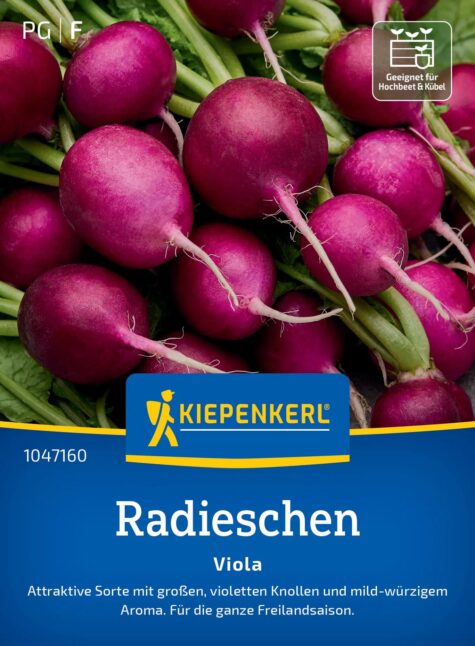 Redīss Viola