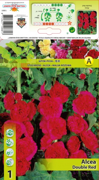 Kāršroze Double Red 1 gab