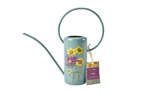 Metāla Lejkanna - Asteraceae 1,2 L