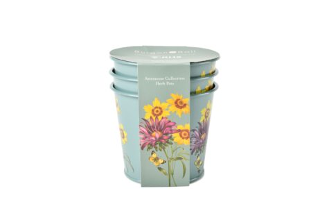 Garšaugu podiņi 3 gab - Asteraceae