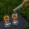 Stikla pudele 100ml ar vāciņu. Komplektā 6 pudeles + korķi.