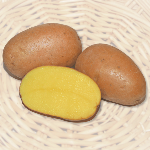 Sēklas kartupeļi BIRGIT 5kg