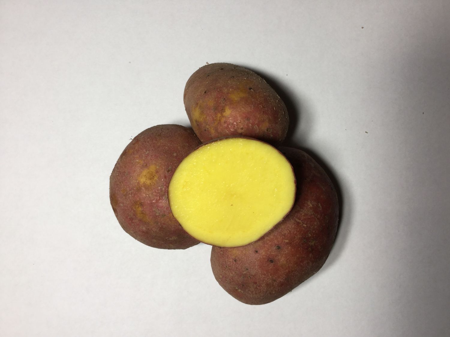 Sēklas kartupeļi BALTIC ROSE 10 kg