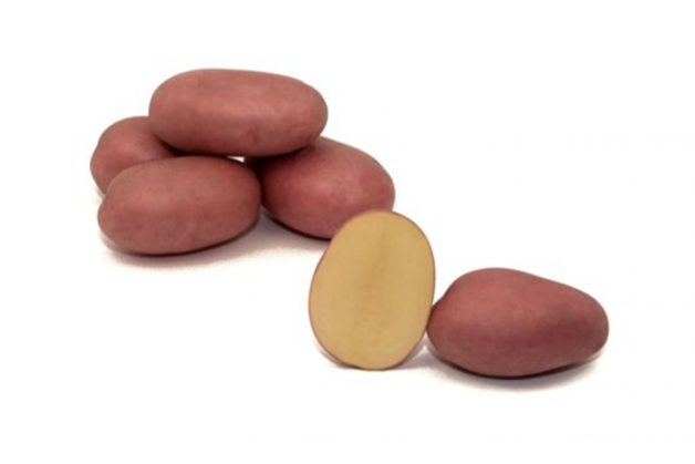 Sēklas kartupeļi LAURA 10 kg