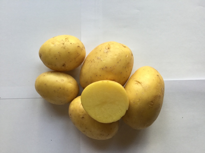 Sēklas kartupeļi PAROLI 5KG