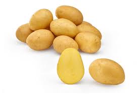 Sēklas kartupeļi LILY 5 kg