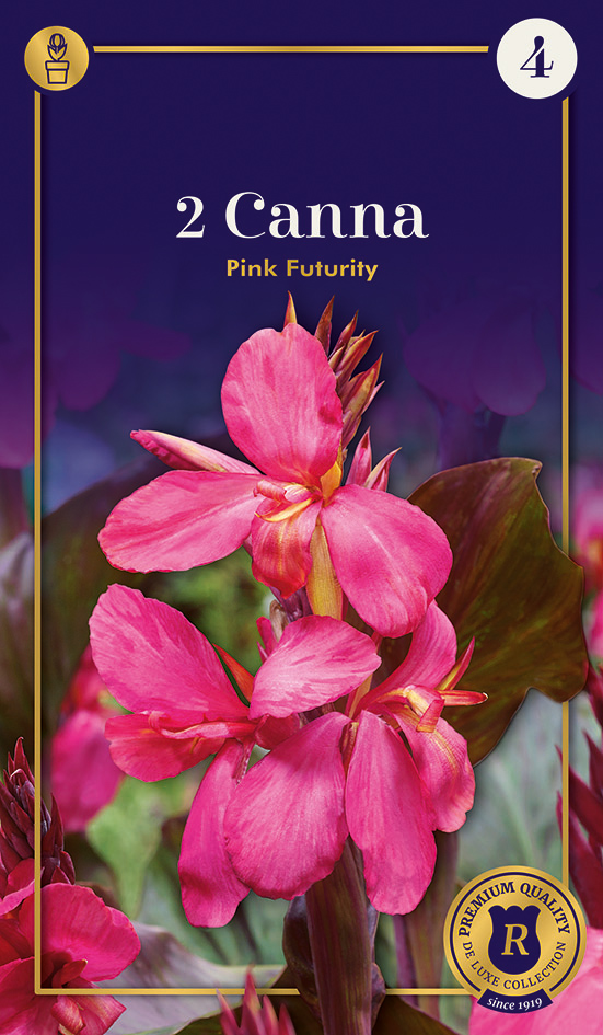 Kanna Pink Futurity 1 gab