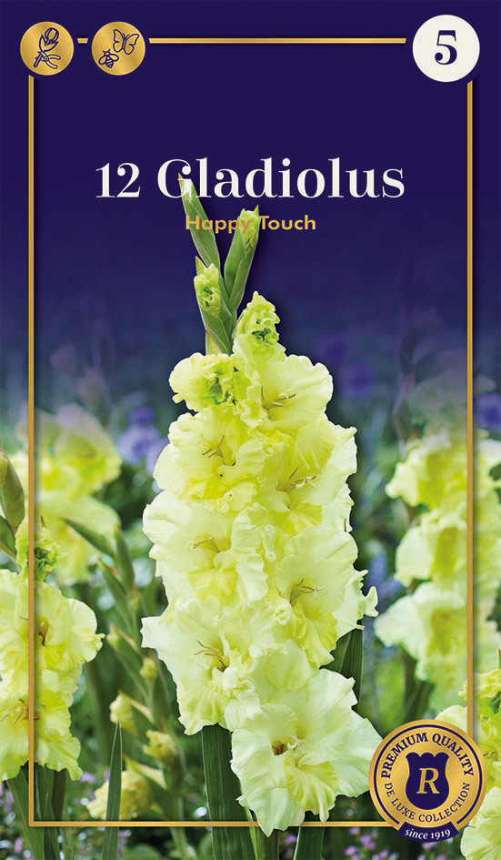 Gladiola Happy Touch 12 gab