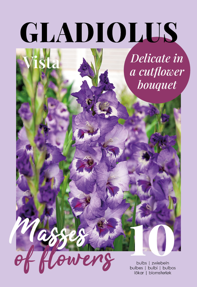 Gladiola Vista 10 gab