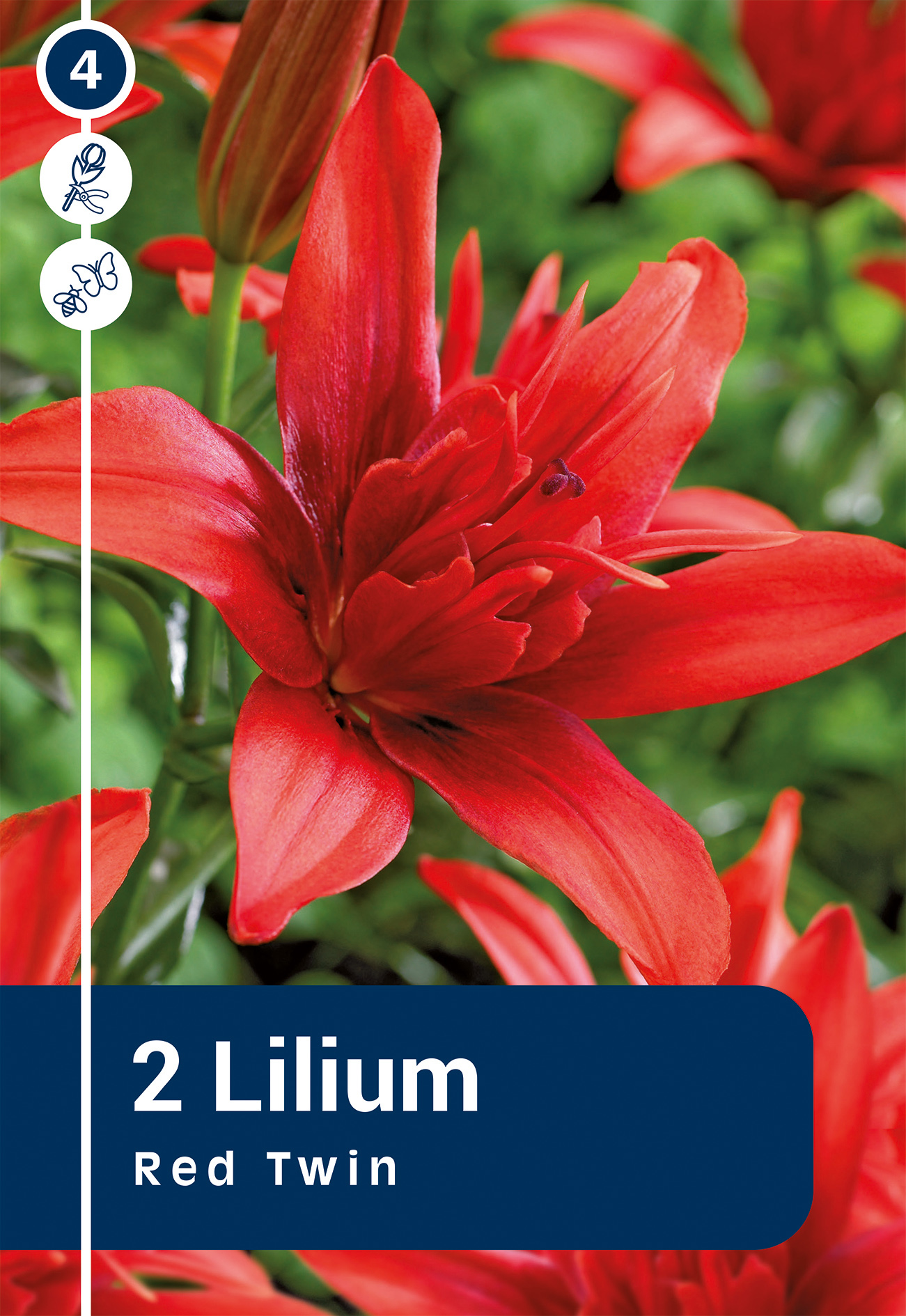Lilija Red Twin 2 gab