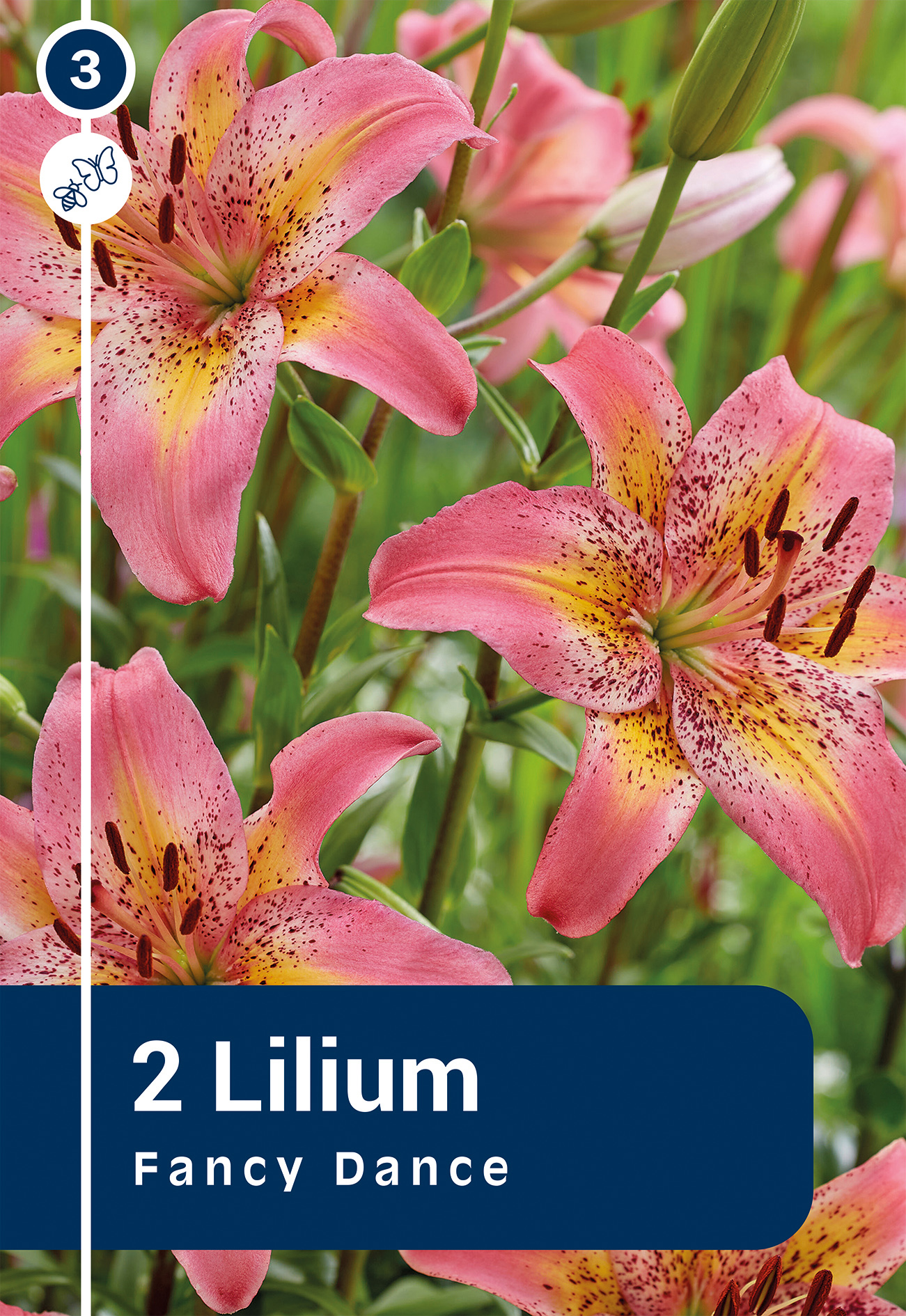 Lilija Fancy Dance 2 gab