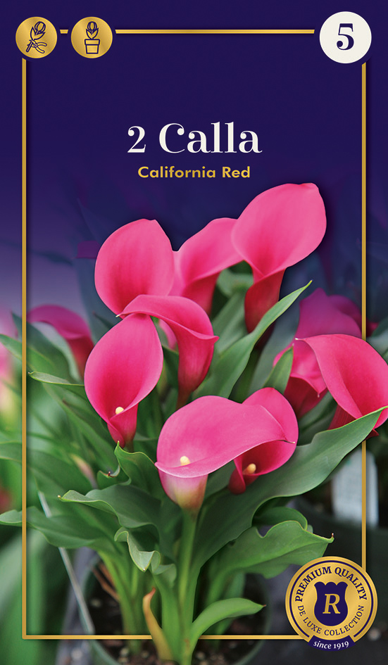 Kalla California Red 2 gab