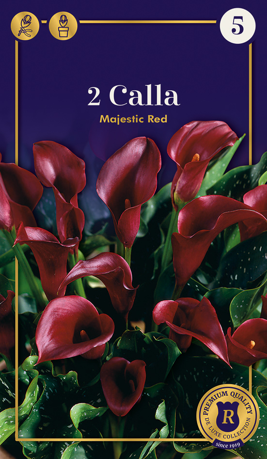 Kalla Majestic Red 2gab