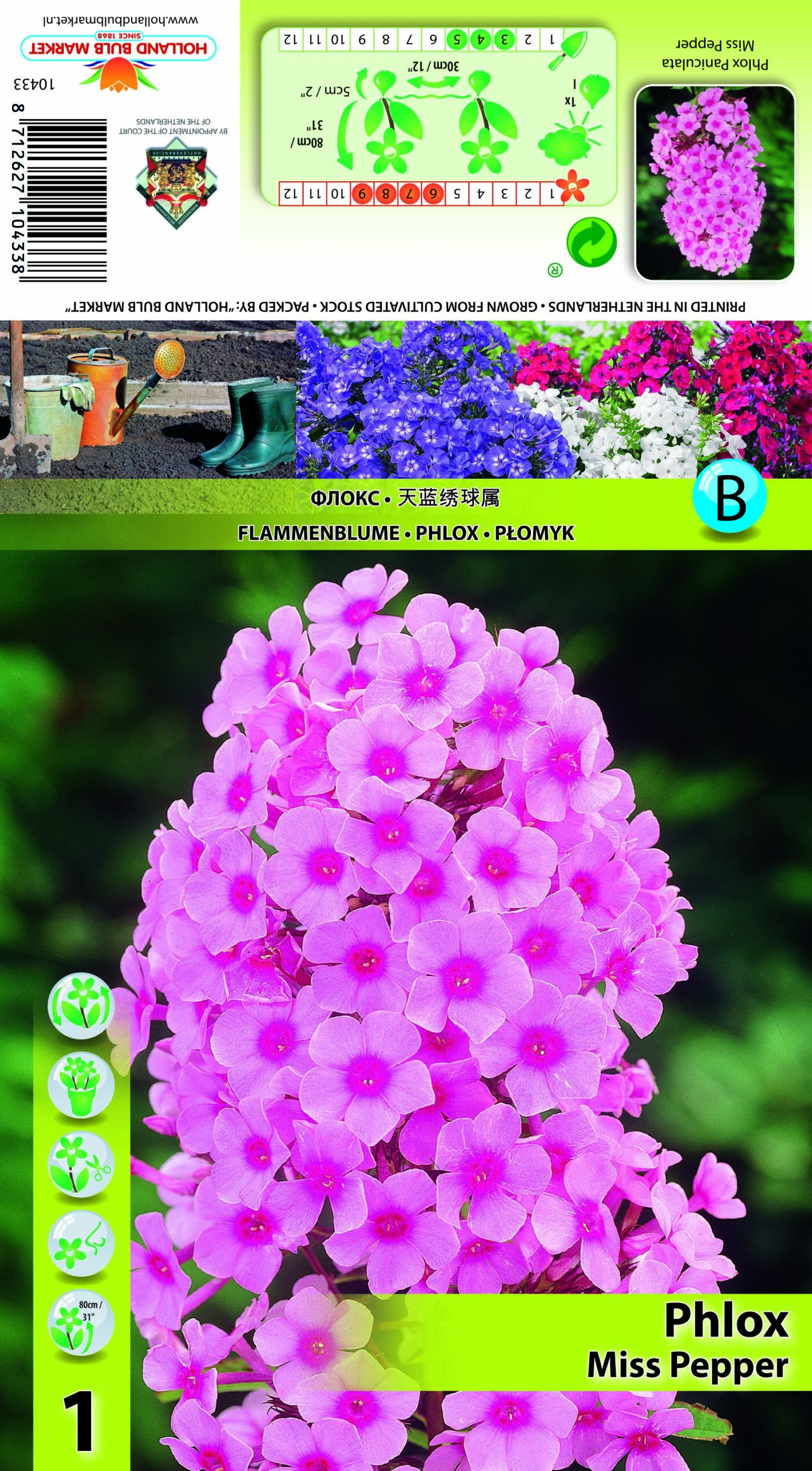 Floksis Miss Pepper 1gab