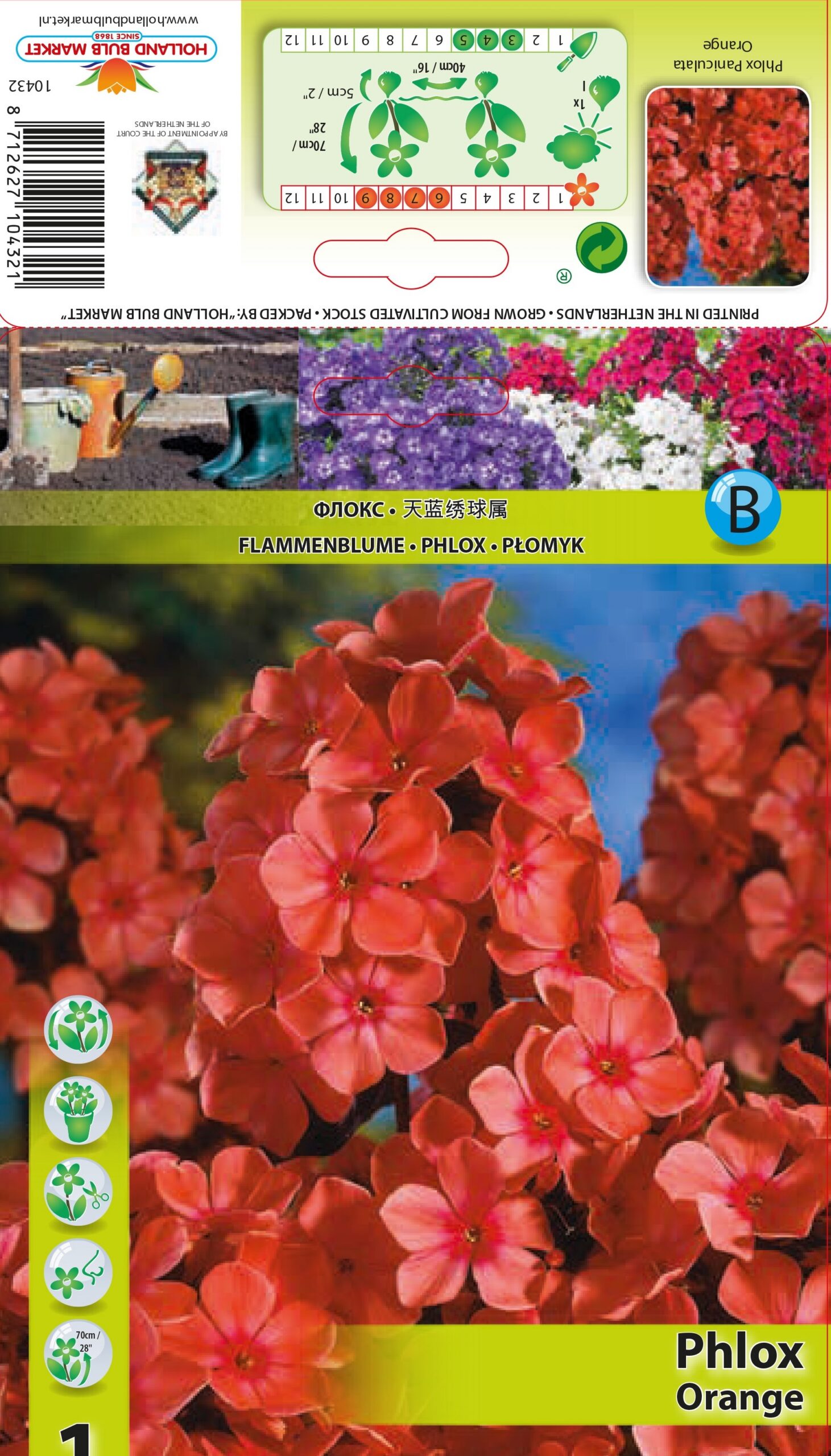 Floksis Orange 1 gab