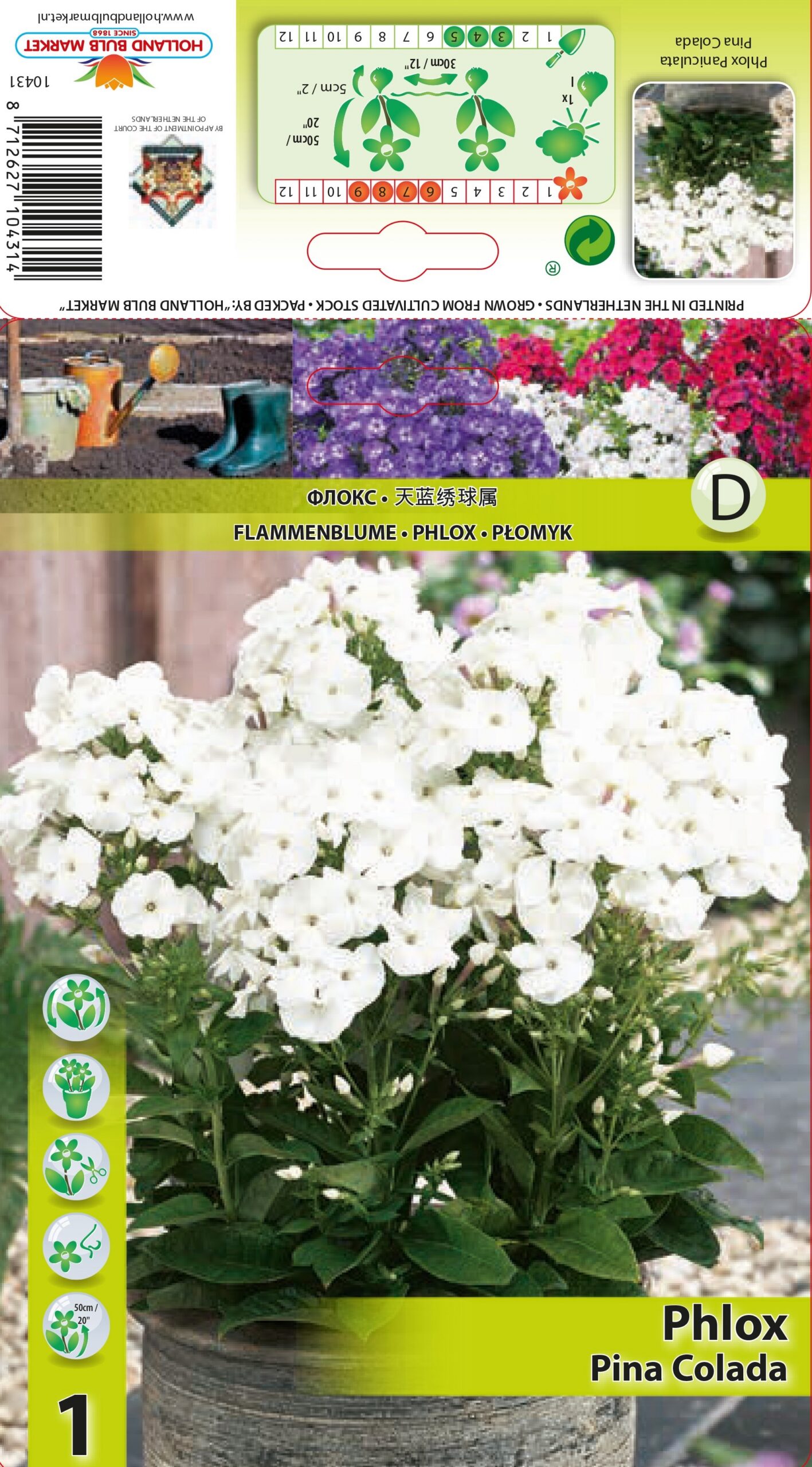 Floksis Pina Colada 1 gab