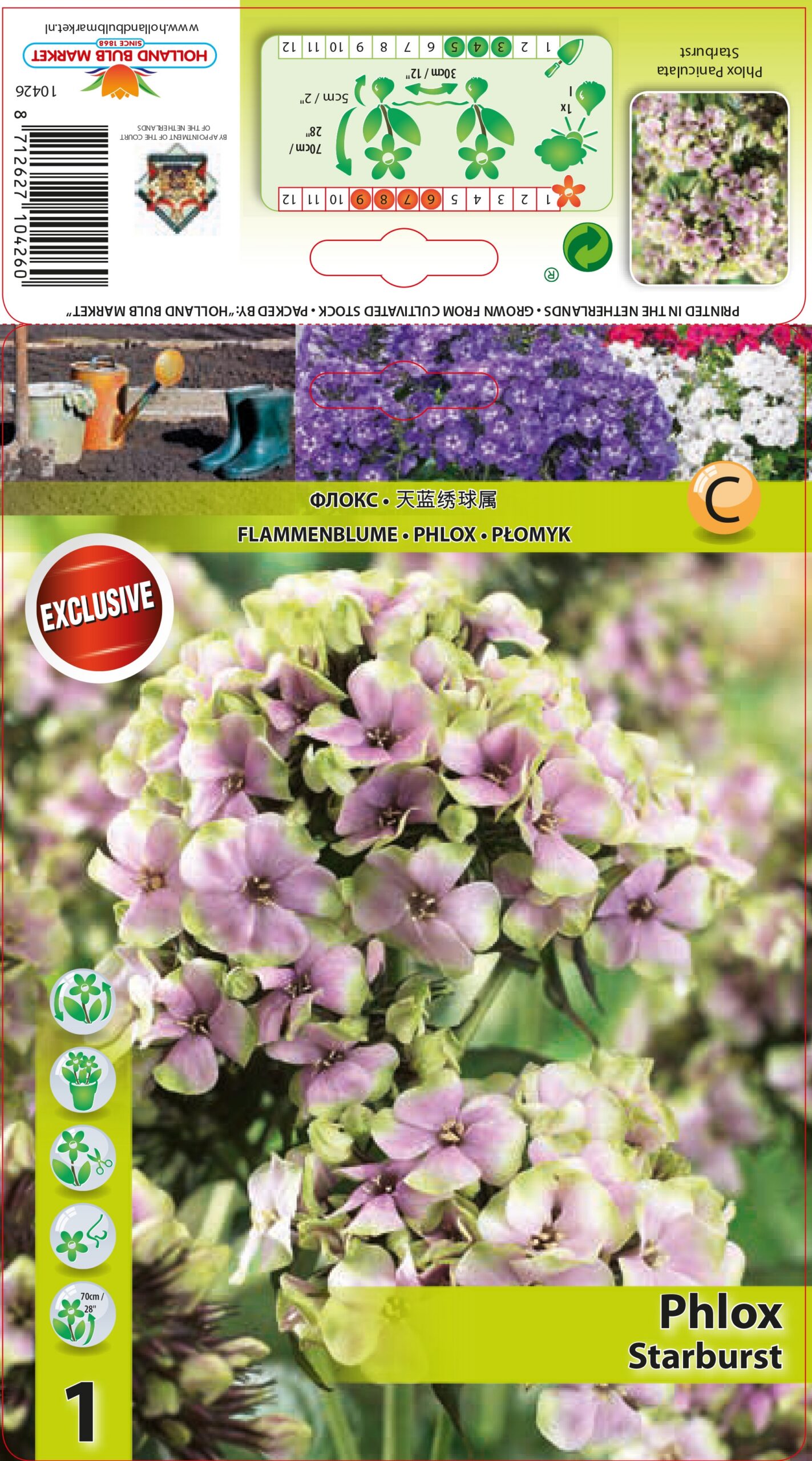 Floksis Starburst 1 gab