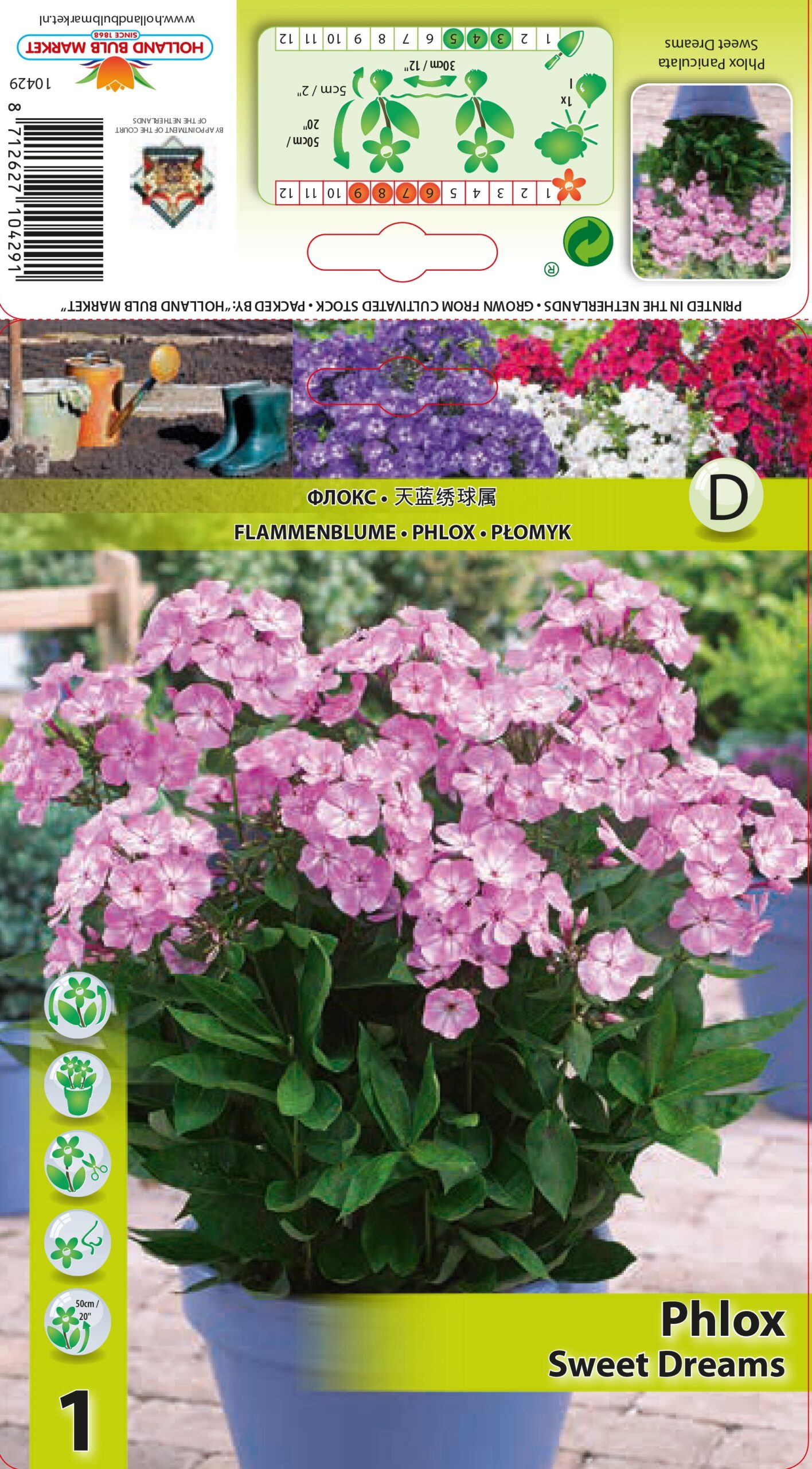 Floksis Sweet Dreams 1 gab