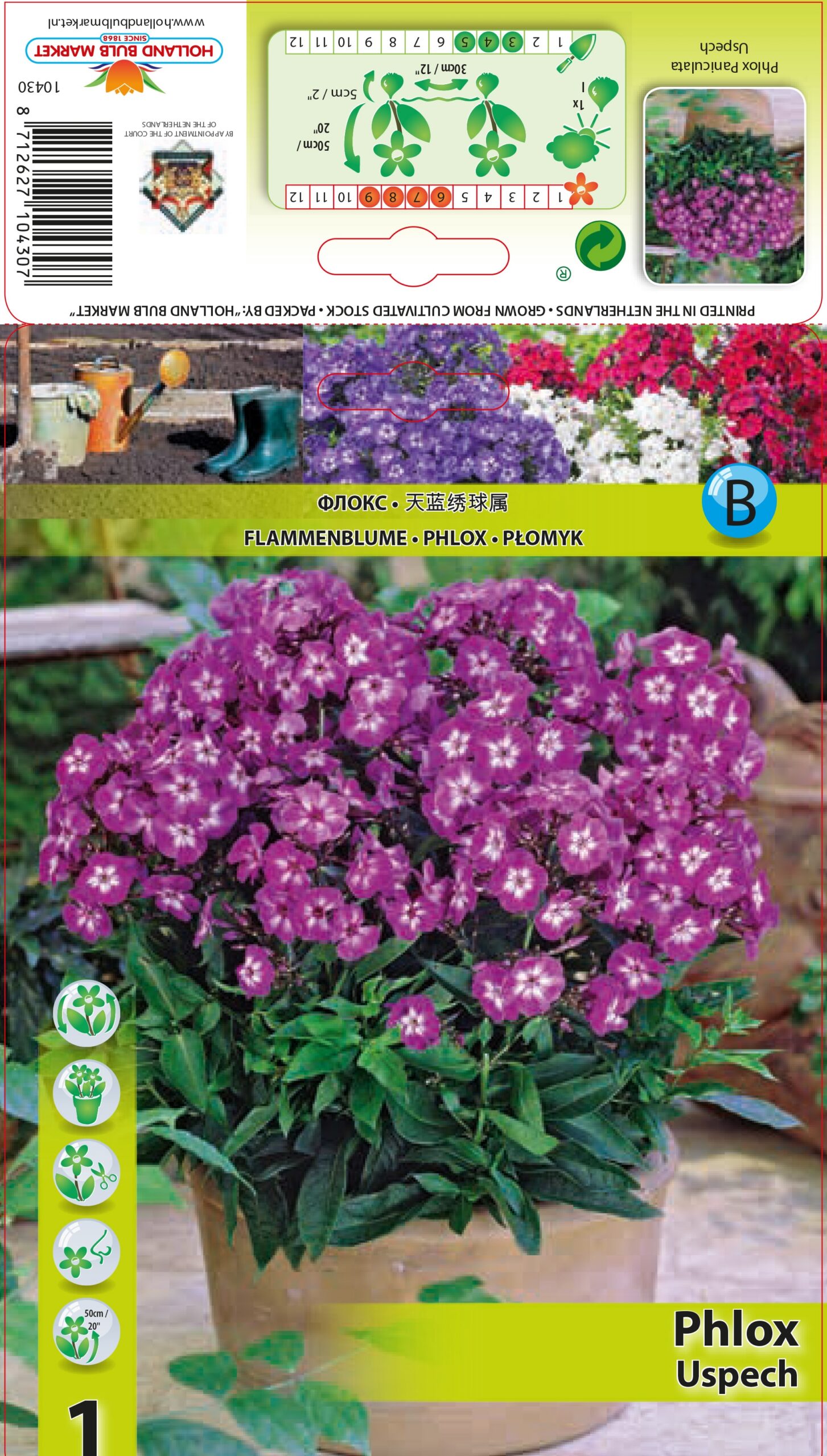 Floksis Uspech 1 gab