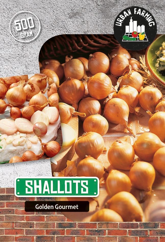 Sīpols Golden Gourmet 500 g