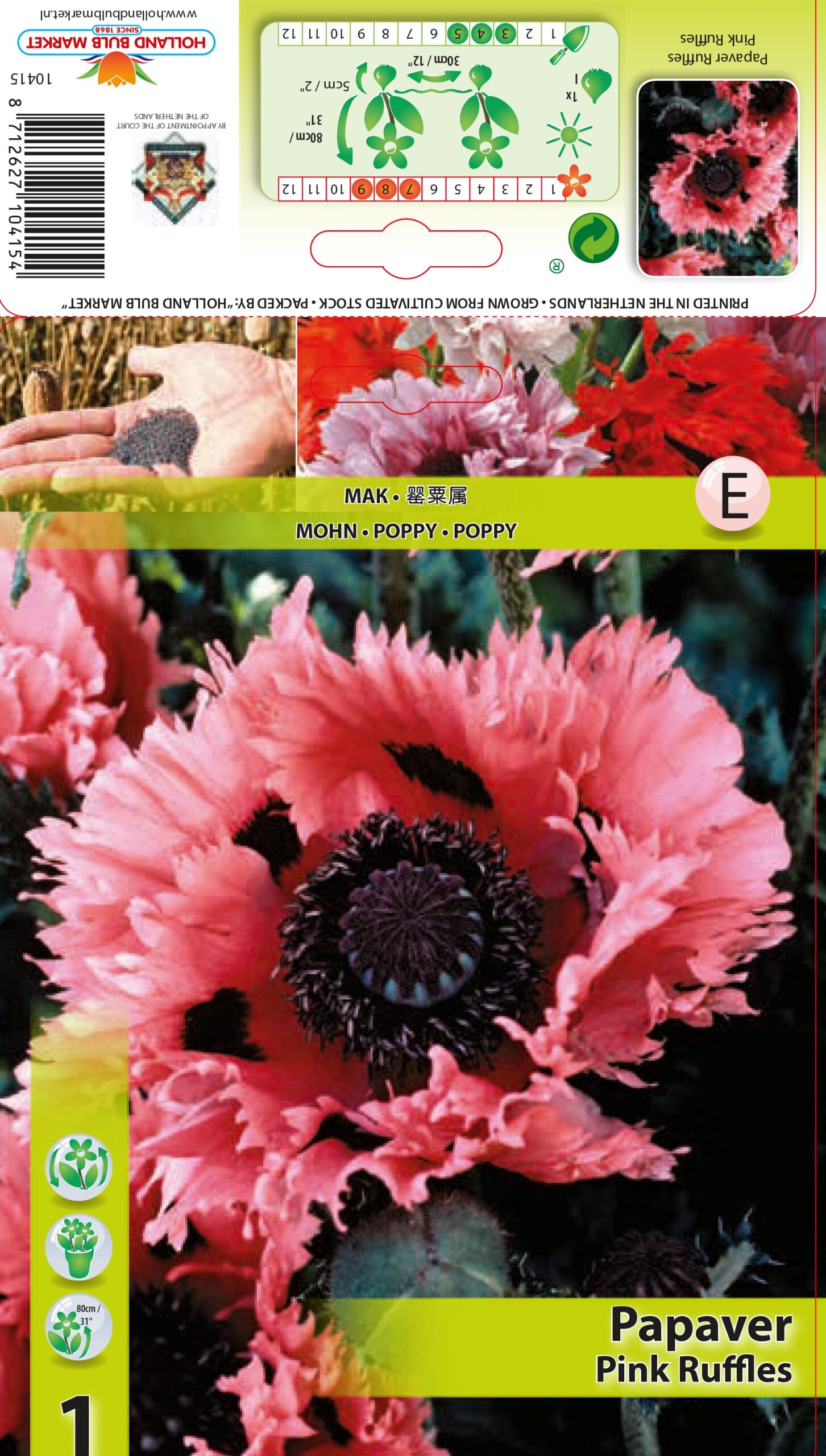 Magone Pink Ruffles 1 gab