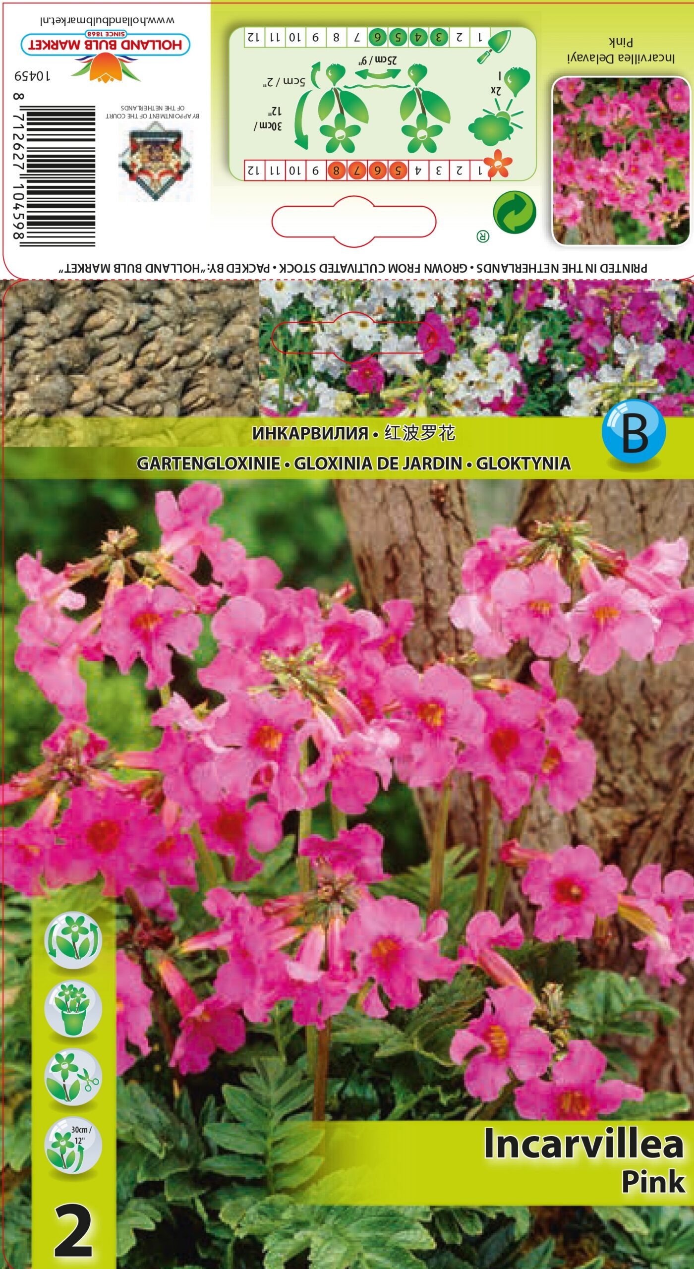 Inkarvillija Pink 2 gab